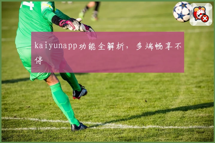 kaiyunapp功能全解析，多端畅享不停