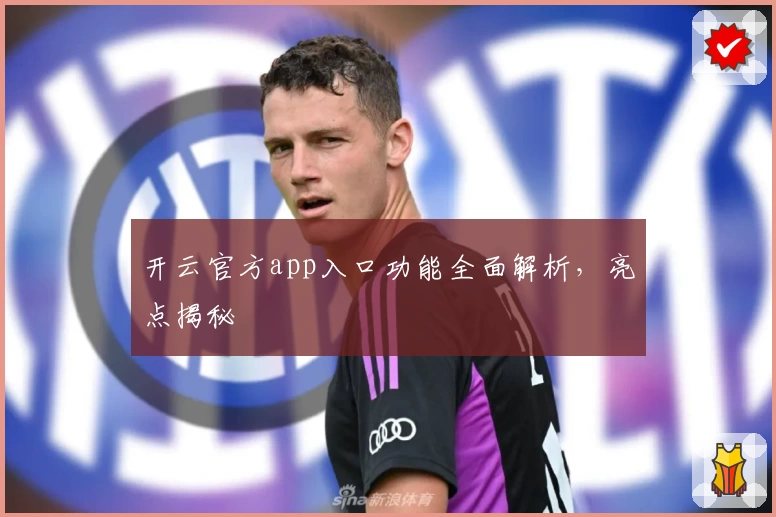 开云官方app入口功能全面解析，亮点揭秘