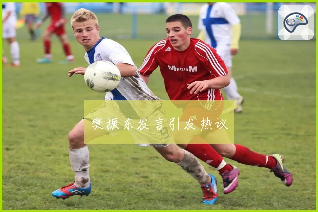 樊振东发言引发热议