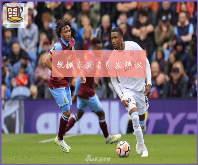 樊振东发言引发热议